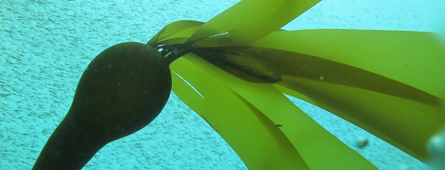 1.25 Percent for Oregon's Wildlife